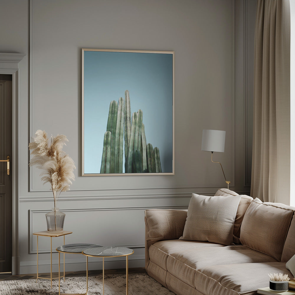 Cacti Poster